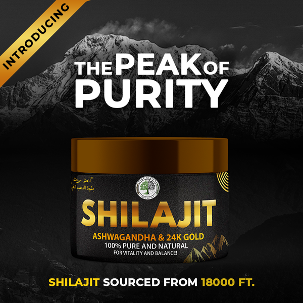 Shilajit Gold - with Ashwagandha and 24K Gold